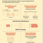 Strategy on Antimicrobial Resistance and the Prudent Use of Antimicrobials