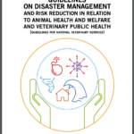 Guidelines on Disaster Management and Risk Reduction