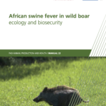 African swine fever in wild boar