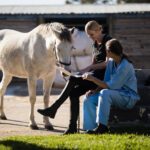 veterinarians with horse