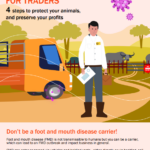 A visual graphic of biosecurity guidelines for traders_FMD