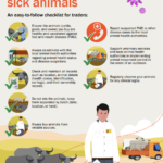 Traders_How to avoid buying sick animals_Foot and mouth disease (FMD)