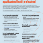 fighting antimicrobial resistance-as-an-aquatic animal professional