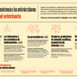 Leaflet_Luchar contra la resistencia a los antimicrobianos como autoridad veterinaria