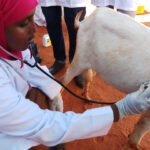 Empowering veterinary paraprofessionals through education