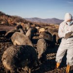 Zoonotic spillover prevention