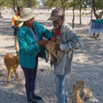 Namibia battle rabies success story.