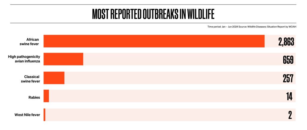 animal diseases wildlife_most reported disease outbreaks in wildlife 2024