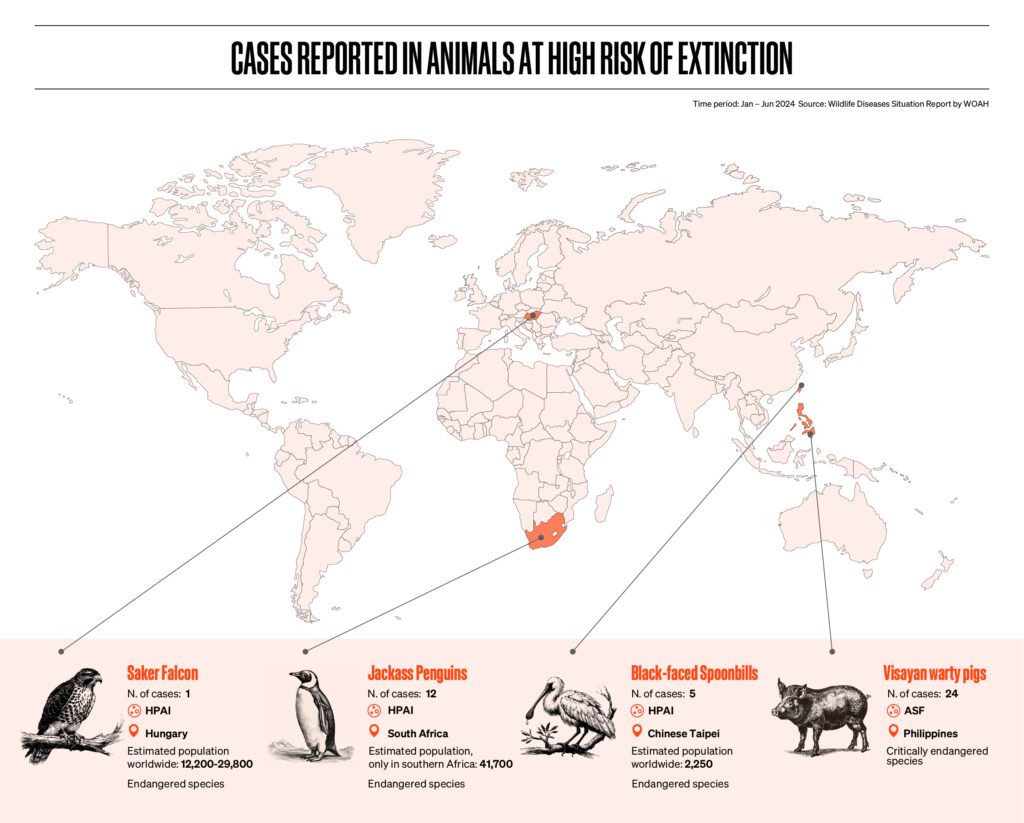 animal diseases wildlife_map of disease outbreaks affecting wildlife in 2024