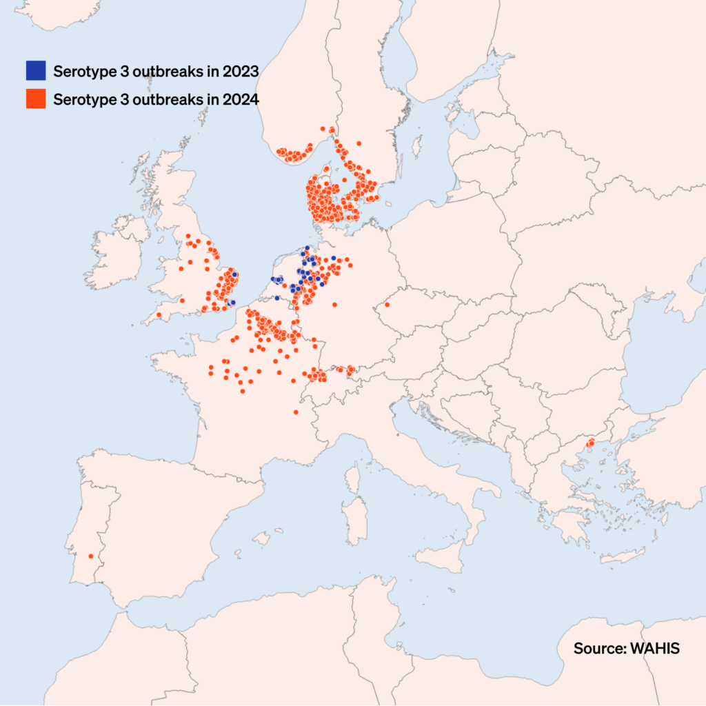 bluetongue spread in Europe map