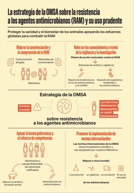 ram infografia