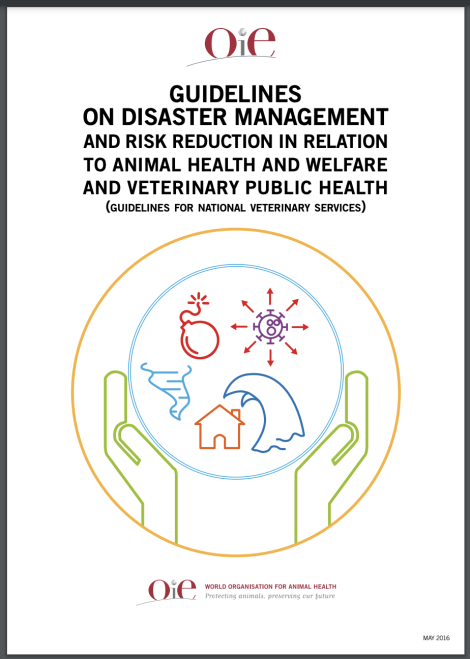 Guidelines on Disaster Management and Risk Reduction