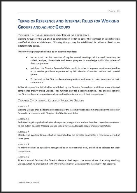 Terms of Reference and Internal Rules for Working Groups and Ad Hoc Groups