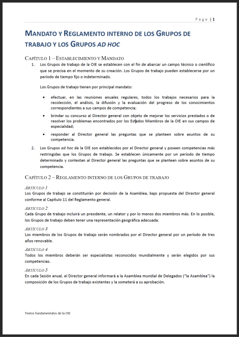 Mandato y Reglamento Interno de los Grupos de Trabajo y los Grupos Ad Hoc