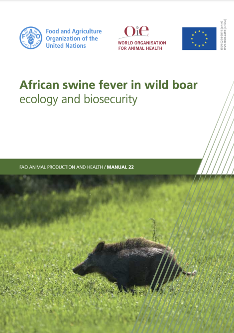 African swine fever in wild boar