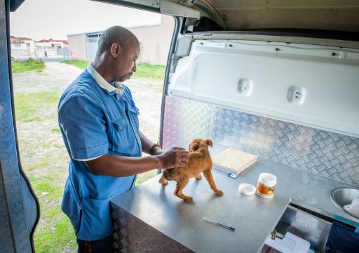 WOAH has helped reduce rabies cases in Lesotho