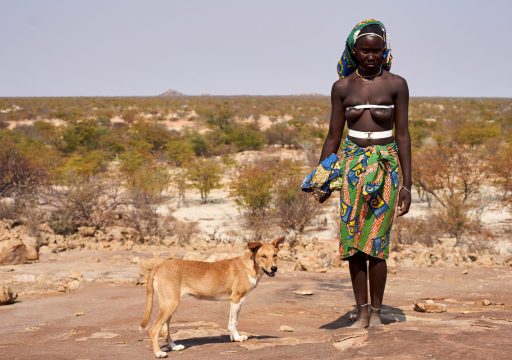 namibia rabies success story