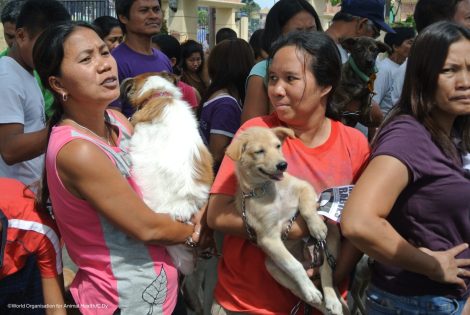 Rabies cases reduced in Philippines