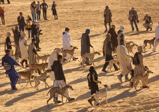 Tunisia Rabies Success Story