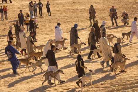 Tunisia Rabies Success Story