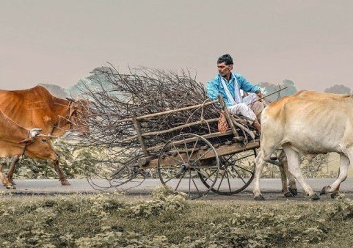 Apoyar las decisiones de inversión en favor de la sanidad animal