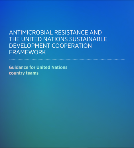 Antimicrobial resistance and the United Nations Sustainable Development Cooperation Framework: guidance for United Nations country teams