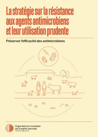 La stratégie de l’OMSA sur la résistance aux agents antimicrobiens