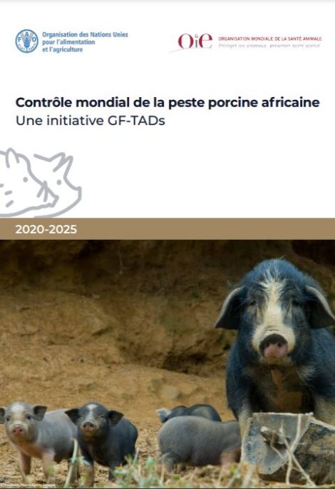 controle peste porcine africaine