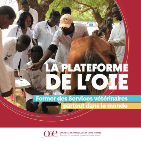 plateforme de l'OIE