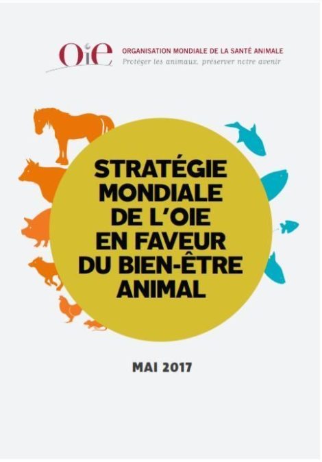 STRATÉGIE MONDIALE DE L’OIE EN FAVEUR DU BIEN-ÊTRE ANIMAL