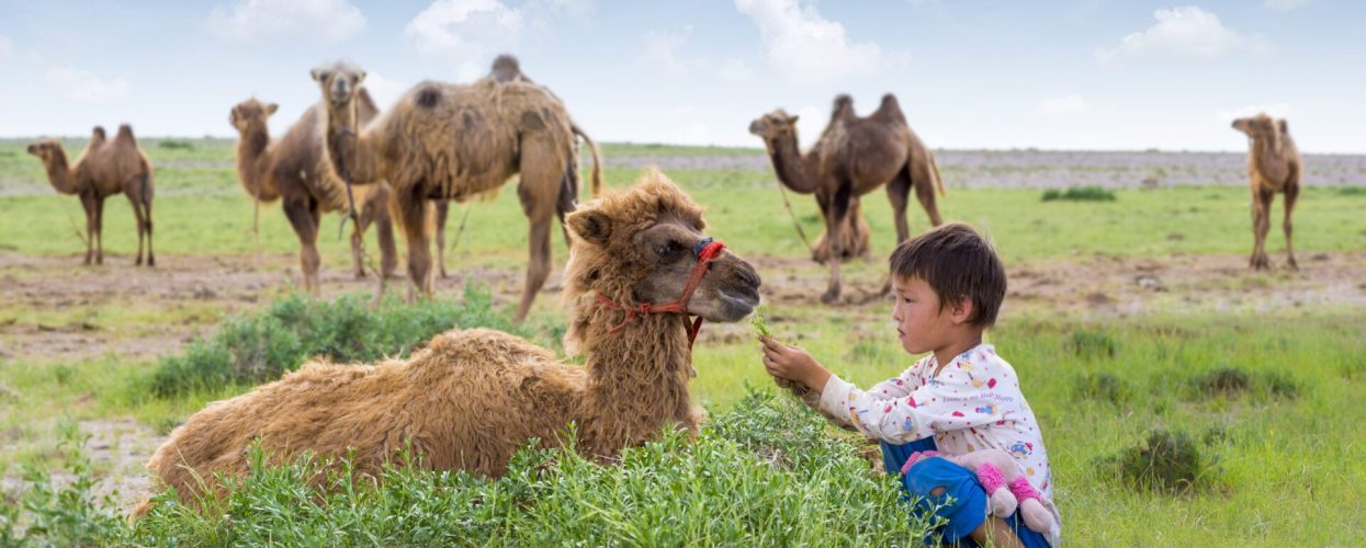 ©OIE/U.Ankhanbaatar