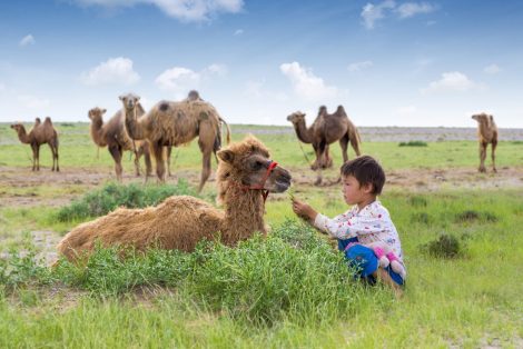 ©OIE/U.Ankhanbaatar