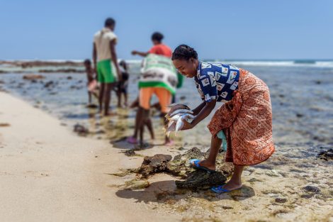 Aquatic animals health livelihoods