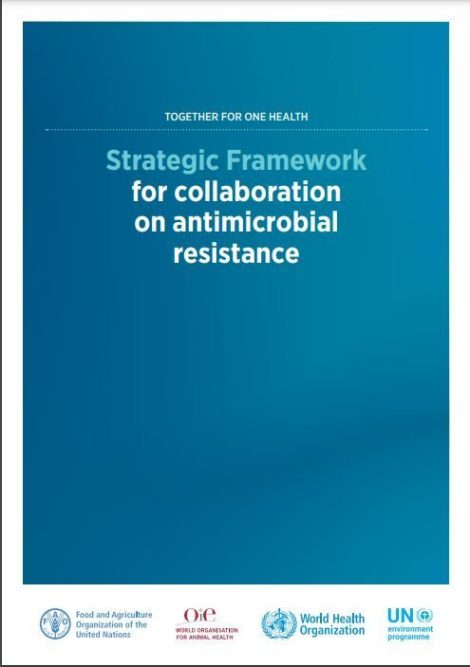 Strategic framework for collaboration on antimicrobial resistance – together for One Health