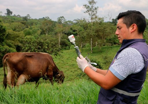 Seld-declared disease status ©World Organisation for Animal Health/S.N.Puetate Medina