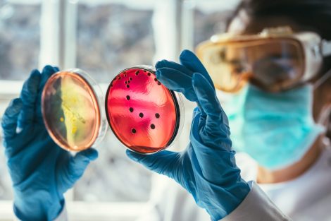 Scientist working in antimicrobial awareness in a laboratory