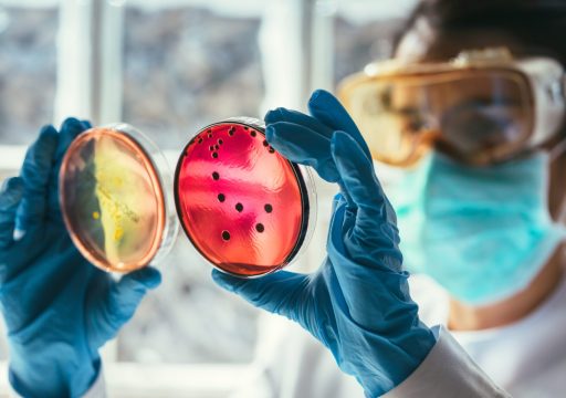 Scientist working in antimicrobial awareness in a laboratory