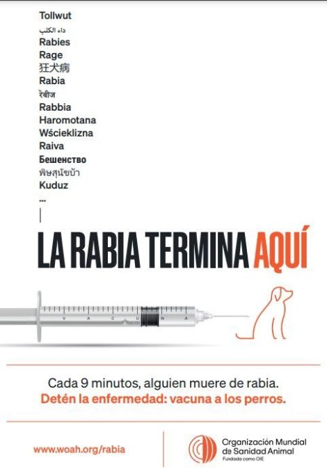 La rabia termina aquí