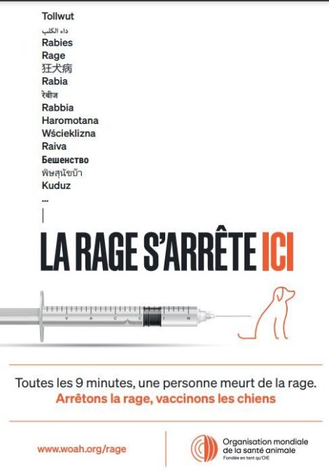 la rage sárrête ici