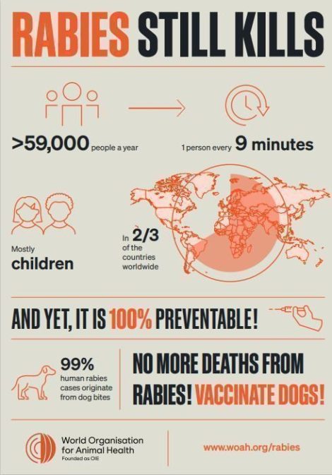 Poster: Rabies still Kills