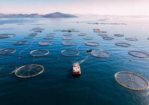 Drone View Fish Farms in the Sea