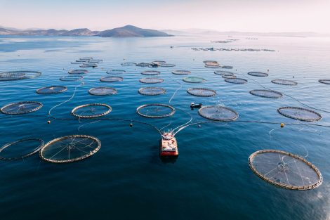 Drone View Fish Farms in the Sea