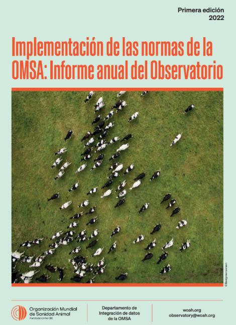 Implementación de las normas de la OMSA: Informe anual del Observatorio