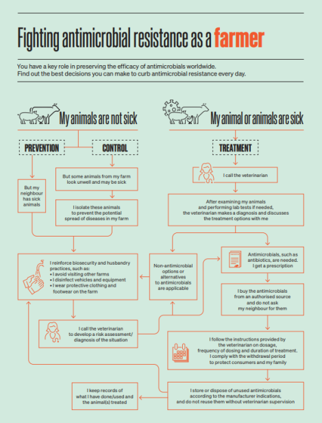 Fighting antimicrobial resistance as a farmer