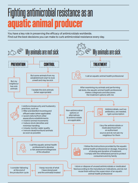 poster which shows fighting-antimicrobial-resistance-as-an-aquatic-animal-producer