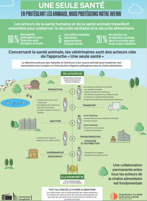 Infographie-Une seule sante