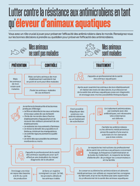 Lutter contre la résistance aux antimicrobiens en tant qu’ éleveur d’animaux aquatiques