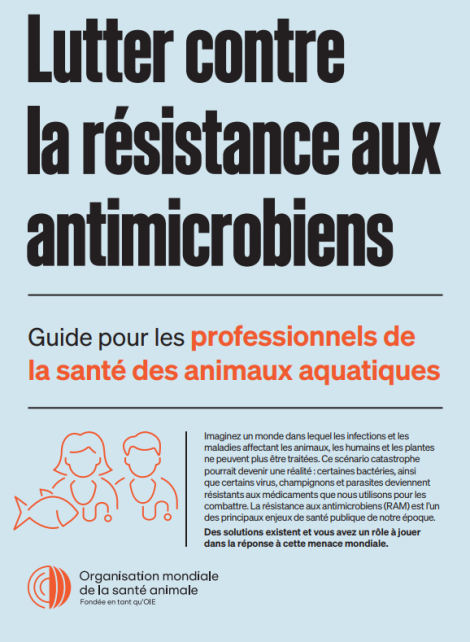 AMR Guide pour les professionnels