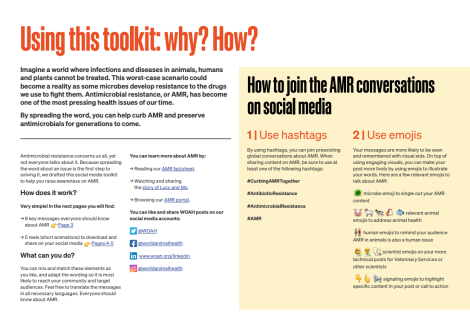 Antimicrobial Resistance_ Social Media Toolkit