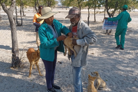 Namibia battle rabies success story.